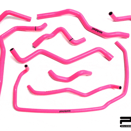 PRO HOSES ANCILLARY HOSE KIT FOR FOCUS MK1 ST170 - Car Enhancements UK