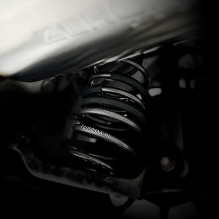 09 Design - 09D Performance Spring Kit [Fiesta ST Mk8/Mk8.5 | Puma ST]