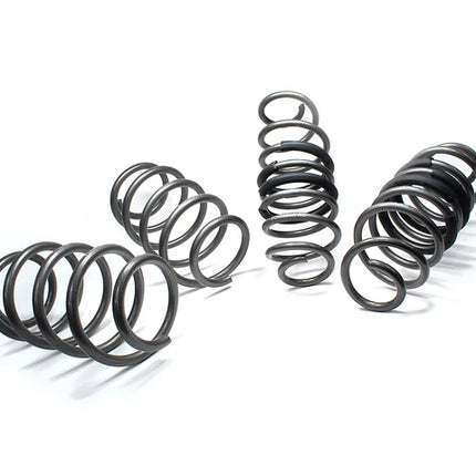 09 Design - 09D Performance Spring Kit [Fiesta ST Mk8/Mk8.5 | Puma ST]