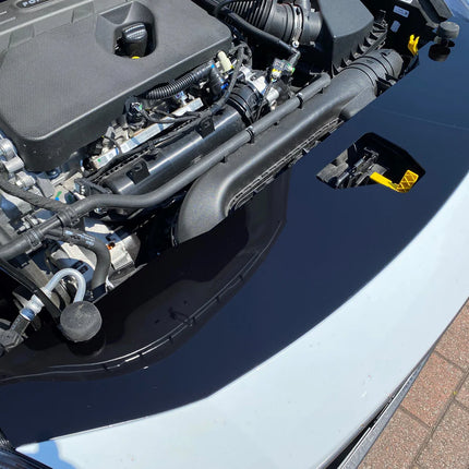 Mk8.5 Fiesta Slam Panel Cover (Plastic Finishes) | Car Enhancements UK