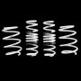 Leyo Motorsport Lowering Springs - MK7/7.5 R - Car Enhancements UK